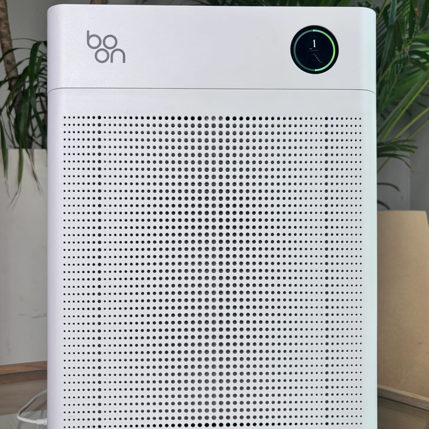 Boon Airvana™ standing on a table in front of a plant